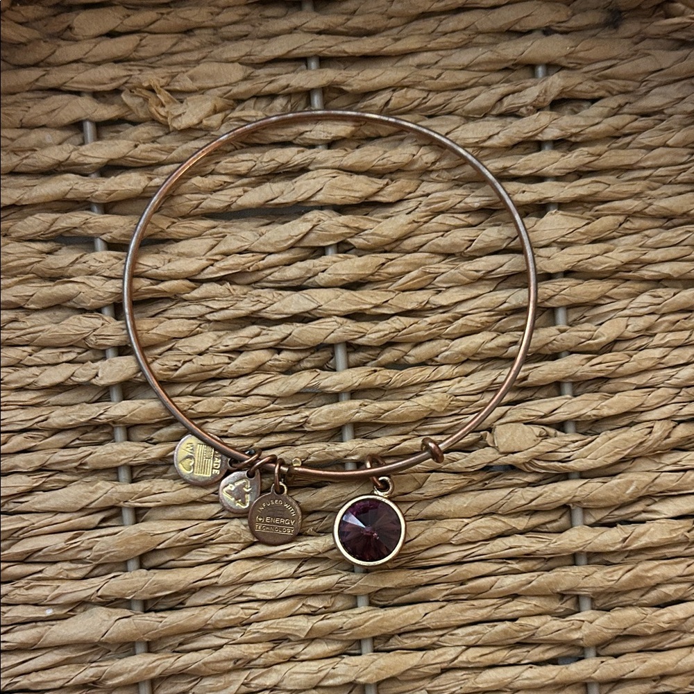 Elegant Charm Bangle Bracelet February Birthstone Purple